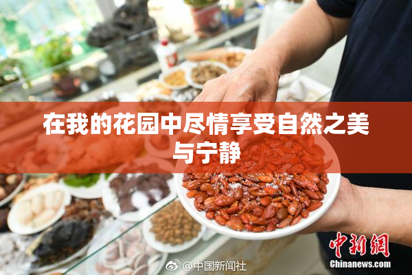 在我的花园中尽情享受自然之美与宁静