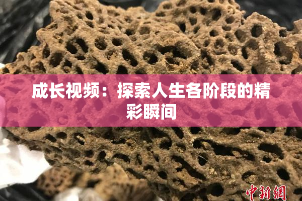 成长视频：探索人生各阶段的精彩瞬间