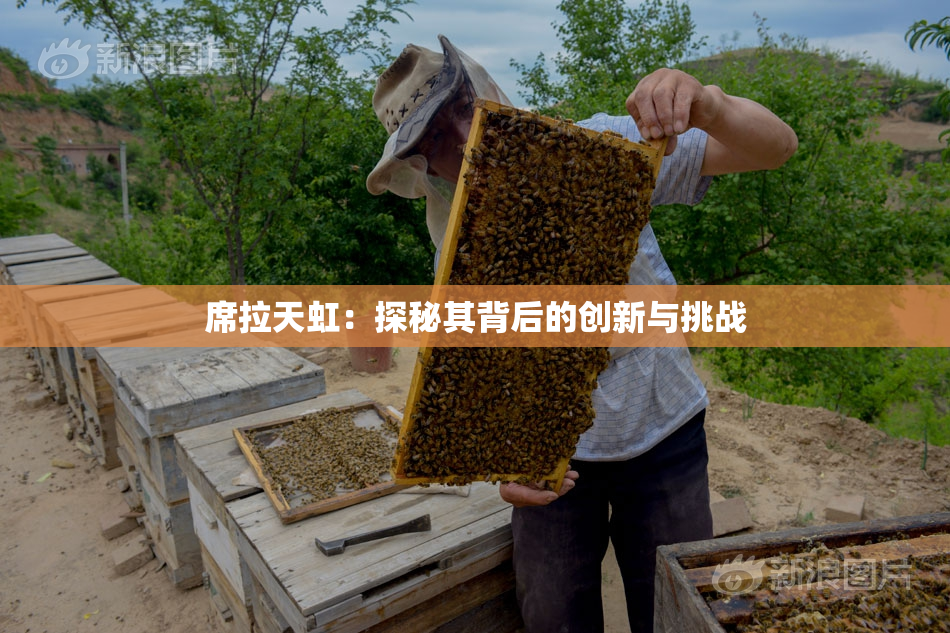 席拉天虹：探秘其背后的创新与挑战