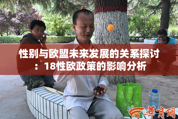 性别与欧盟未来发展的关系探讨：18性欧政策的影响分析