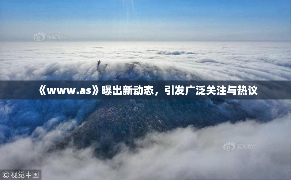 《www.as》曝出新动态，引发广泛关注与热议