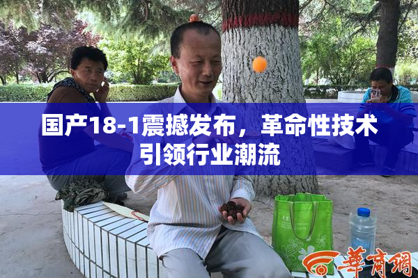 国产18-1震撼发布，革命性技术引领行业潮流