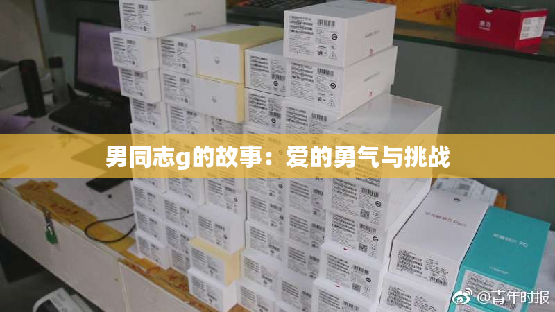男同志g的故事：爱的勇气与挑战