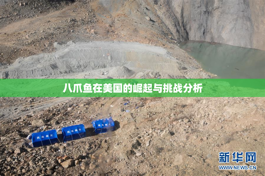 八爪鱼在美国的崛起与挑战分析