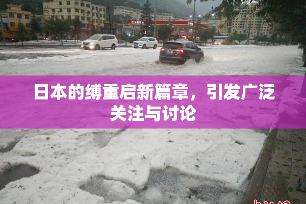 日本的缚重启新篇章，引发广泛关注与讨论