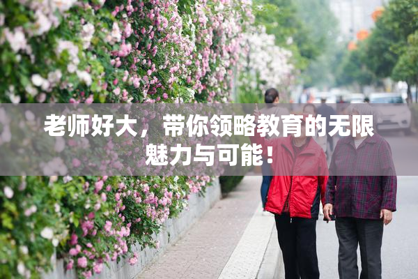 老师好大，带你领略教育的无限魅力与可能！