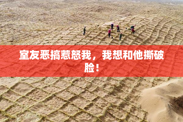 室友恶搞惹怒我，我想和他撕破脸！