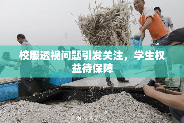 校服透视问题引发关注，学生权益待保障