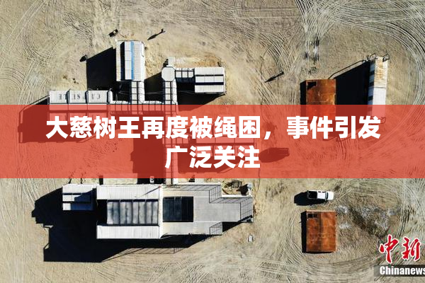 大慈树王再度被绳困，事件引发广泛关注