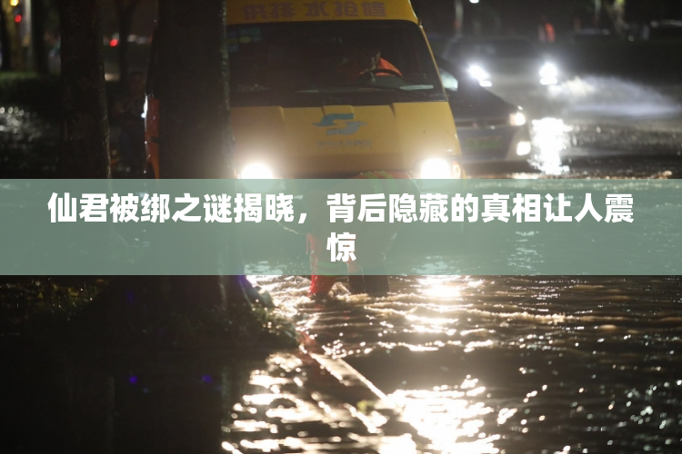 仙君被绑之谜揭晓，背后隐藏的真相让人震惊