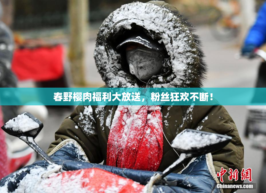 春野樱肉福利大放送，粉丝狂欢不断！