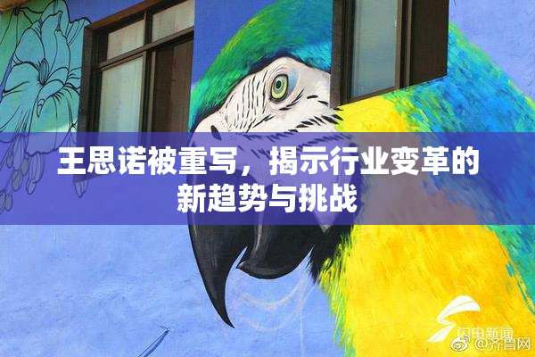 王思诺被重写，揭示行业变革的新趋势与挑战