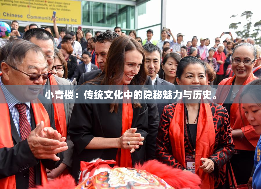 小青楼：传统文化中的隐秘魅力与历史。