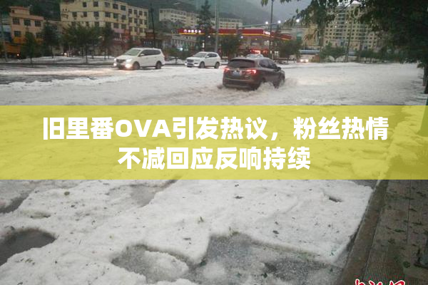 旧里番OVA引发热议，粉丝热情不减回应反响持续