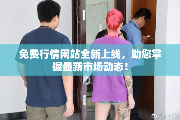 免费行情网站全新上线，助您掌握最新市场动态！
