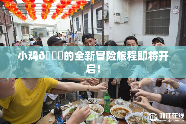 小鸡🐔的全新冒险旅程即将开启！