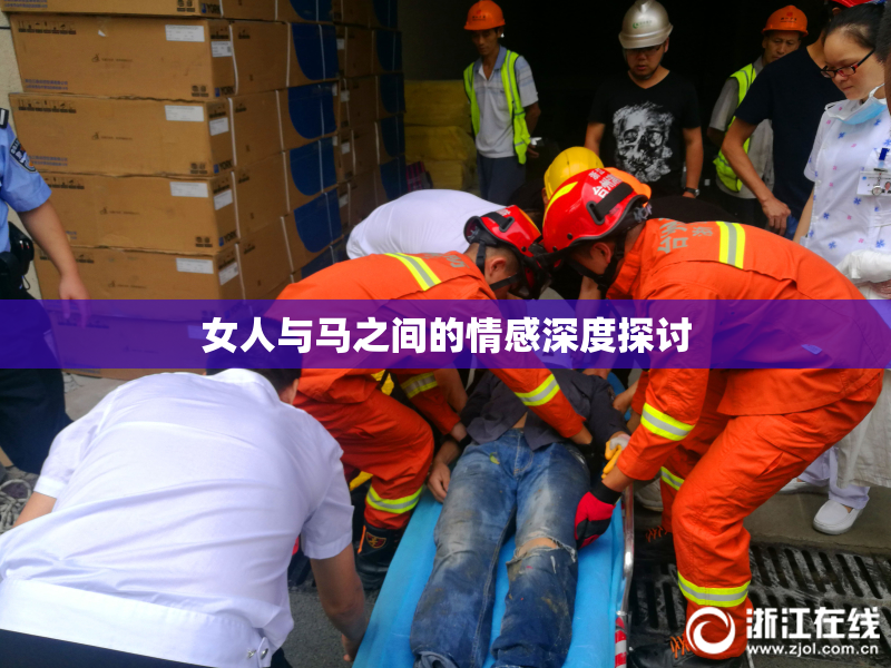 女人与马之间的情感深度探讨