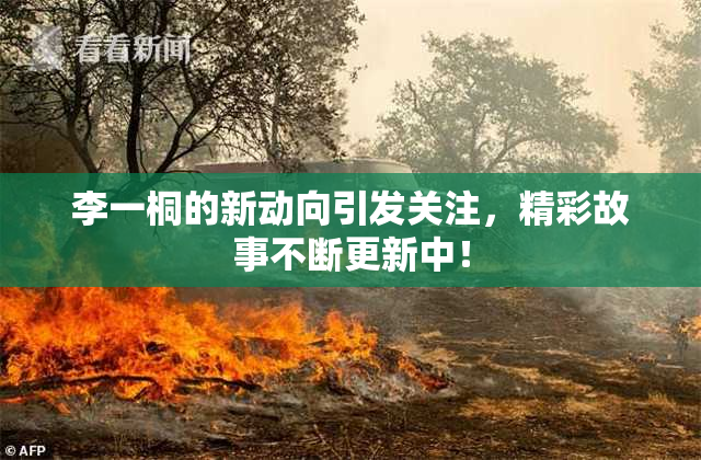 李一桐的新动向引发关注，精彩故事不断更新中！