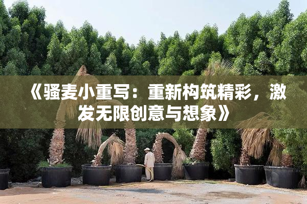 《骚麦小重写：重新构筑精彩，激发无限创意与想象》