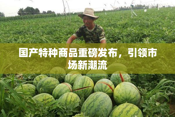 国产特种商品重磅发布，引领市场新潮流