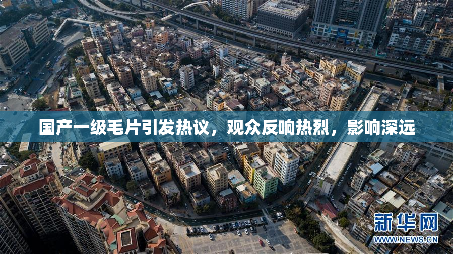 国产一级毛片引发热议，观众反响热烈，影响深远