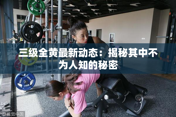 三级全黄最新动态：揭秘其中不为人知的秘密