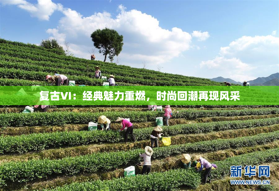 复古VI：经典魅力重燃，时尚回潮再现风采