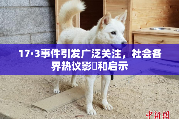 17·3事件引发广泛关注，社会各界热议影響和启示