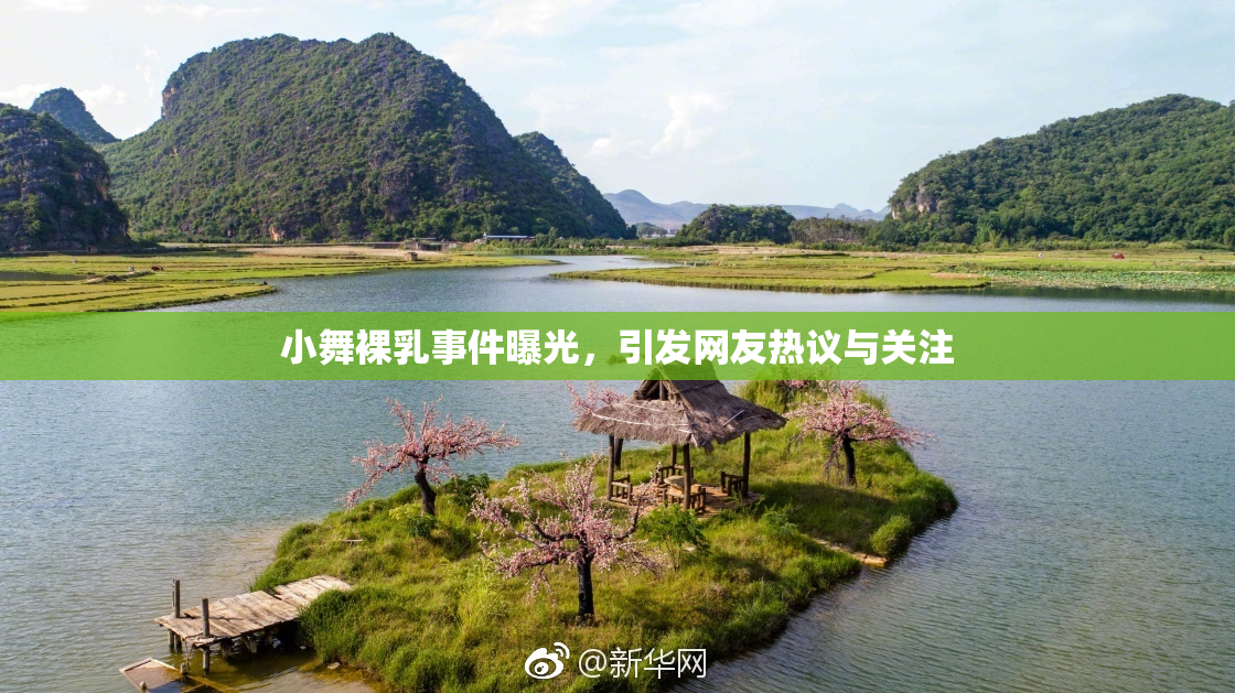 小舞裸乳事件曝光，引发网友热议与关注