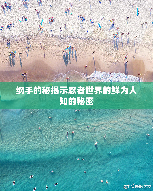 纲手的秘揭示忍者世界的鲜为人知的秘密