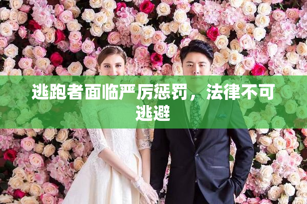逃跑者面临严厉惩罚，法律不可逃避