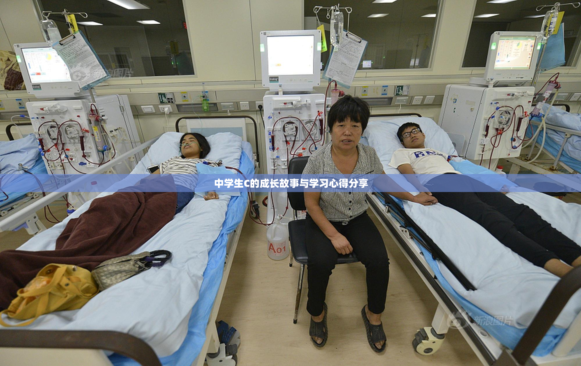 中学生C的成长故事与学习心得分享