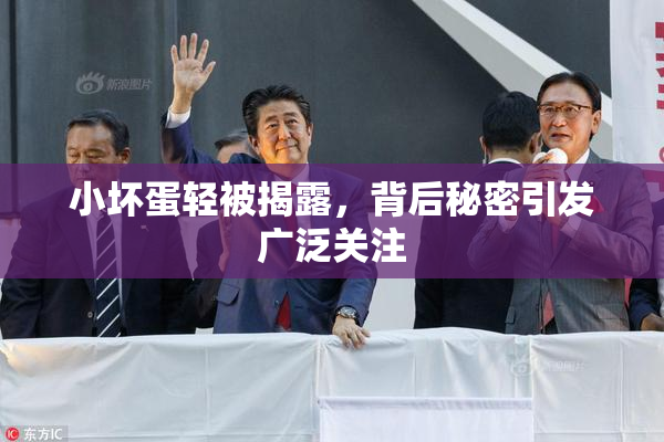 小坏蛋轻被揭露，背后秘密引发广泛关注