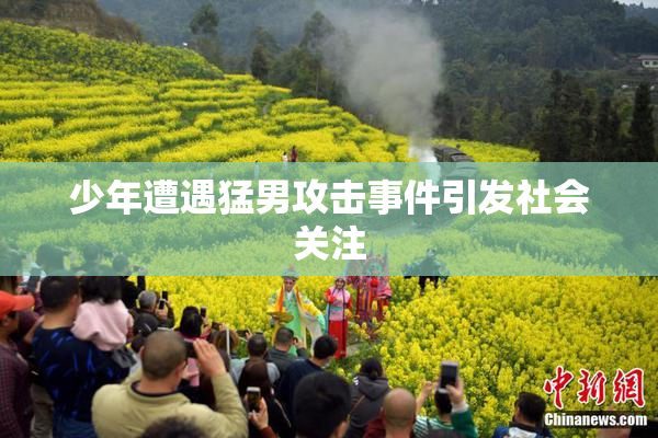 少年遭遇猛男攻击事件引发社会关注