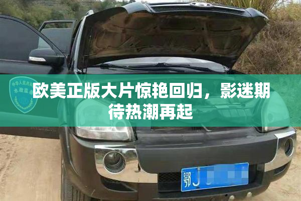 欧美正版大片惊艳回归，影迷期待热潮再起