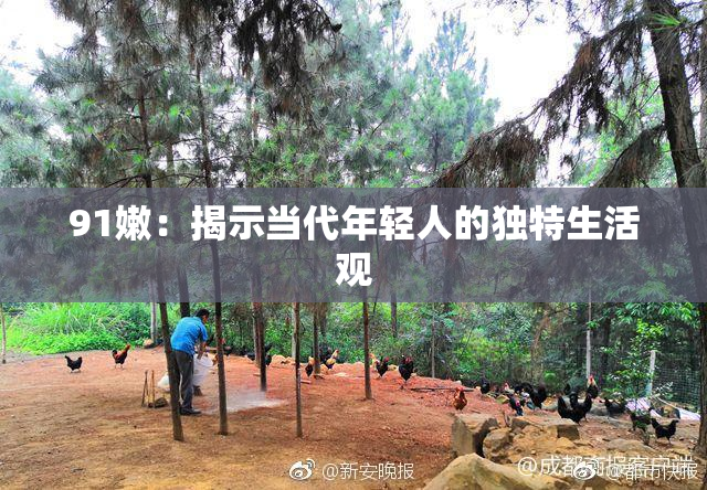 91嫩：揭示当代年轻人的独特生活观