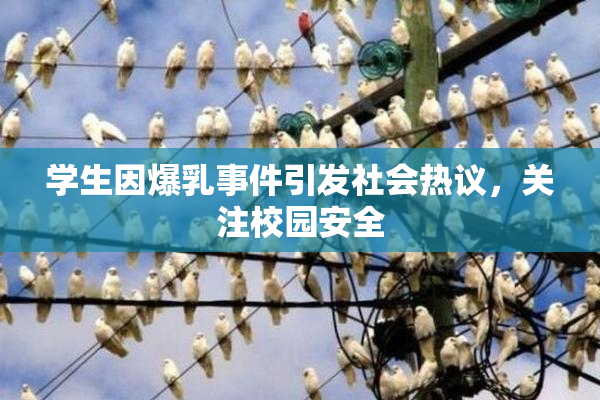 学生因爆乳事件引发社会热议，关注校园安全