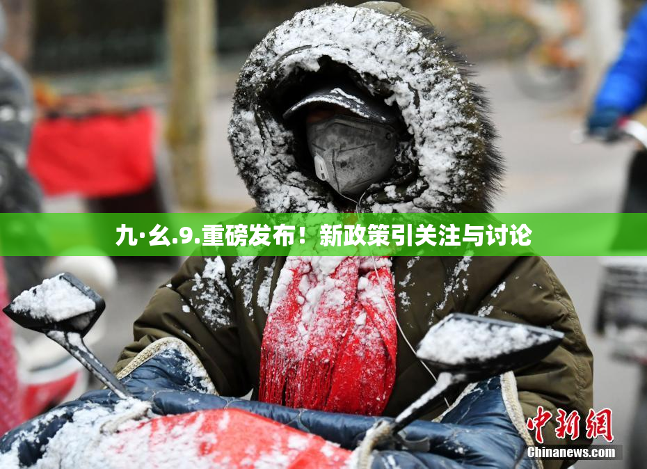 九·幺.9.重磅发布！新政策引关注与讨论