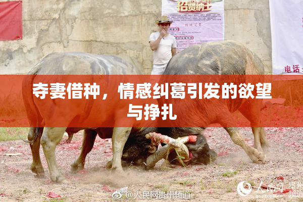 夺妻借种，情感纠葛引发的欲望与挣扎
