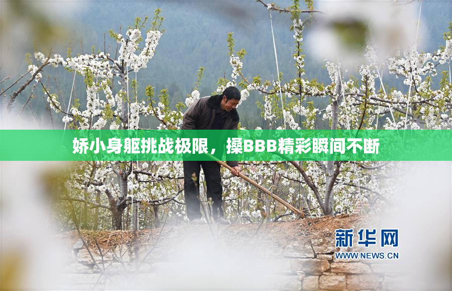娇小身躯挑战极限，搡BBB精彩瞬间不断