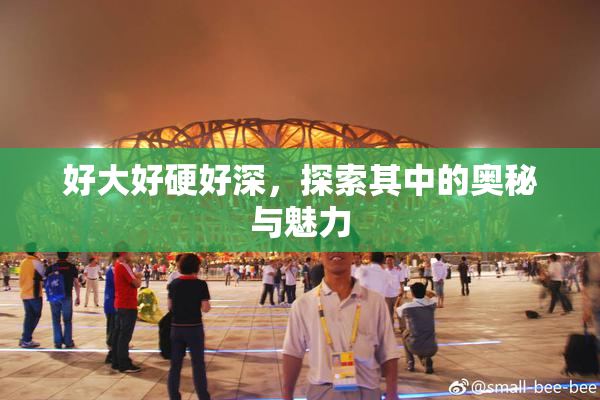 好大好硬好深，探索其中的奥秘与魅力