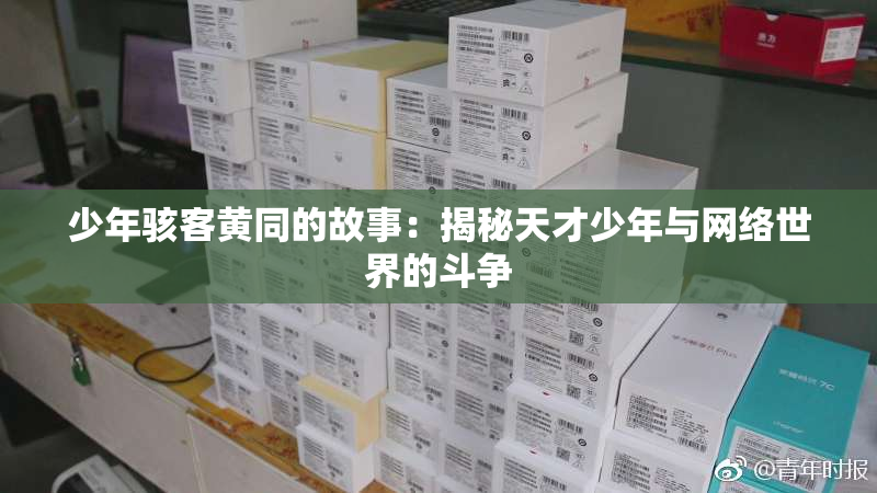 少年骇客黄同的故事：揭秘天才少年与网络世界的斗争