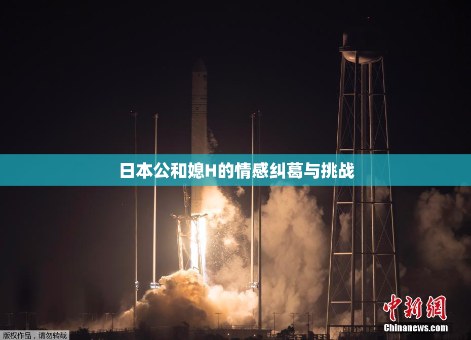 日本公和媳H的情感纠葛与挑战