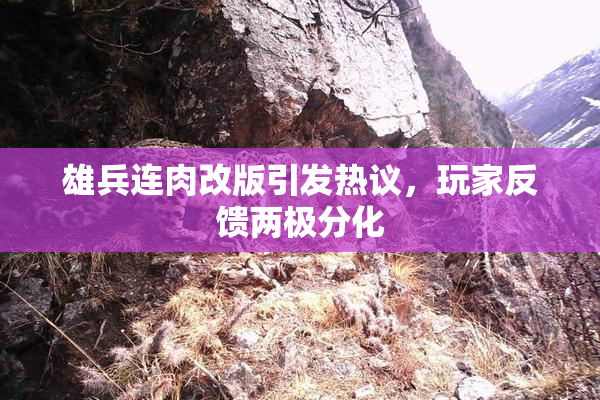 雄兵连肉改版引发热议，玩家反馈两极分化