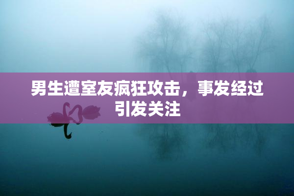 男生遭室友疯狂攻击，事发经过引发关注