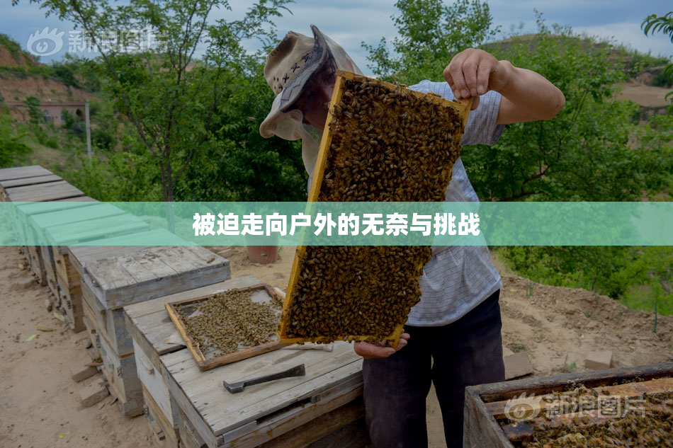 被迫走向户外的无奈与挑战