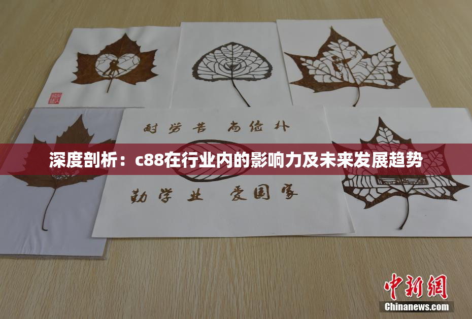 深度剖析：c88在行业内的影响力及未来发展趋势