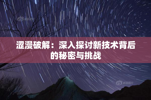涩漫破解：深入探讨新技术背后的秘密与挑战