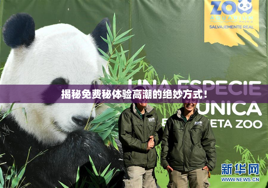 揭秘免费秘体验高潮的绝妙方式！