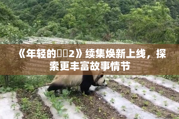 《年轻的妺妺2》续集焕新上线，探索更丰富故事情节